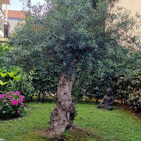 Superbe Appartement Avec Jardin Saint Charles 比亚里茨 外观 照片