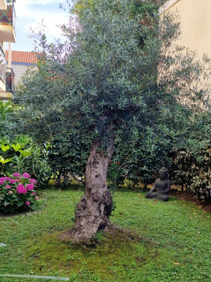 Superbe Appartement Avec Jardin Saint Charles 比亚里茨 外观 照片